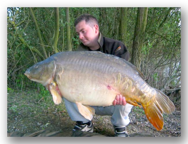 44lb mirror